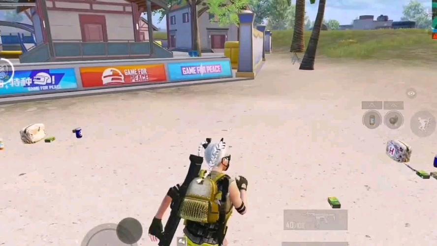 和平精英辅助软件的发展与影响分析